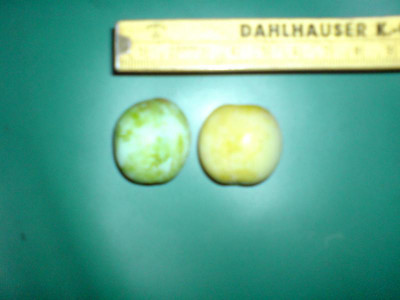 DSC00188.JPG