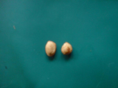 DSC00193.JPG