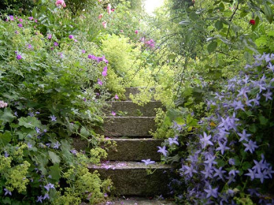 Natursteintreppe.jpg