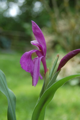 DSC_0687.JPG
