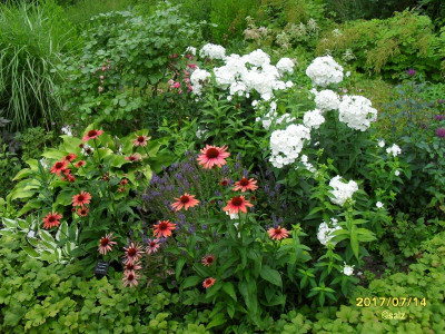 Foerster Garten 2017_02.jpg