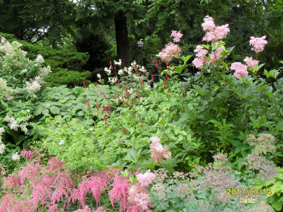 Foerster Garten 2017_03.jpg