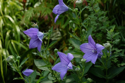 DSCF3216_2543.JPG