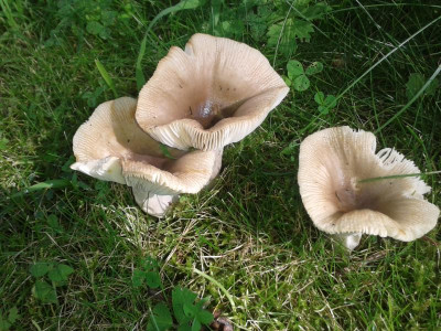 20170723_163048.jpg