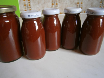 Ketchup 2017 003.JPG