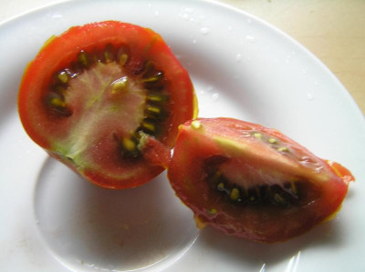 Tomate Sacher 2017 008.JPG