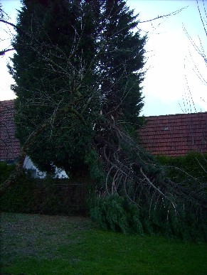 Sturmschaden_19.01.2007_002.jpg