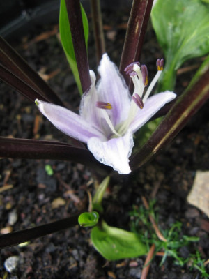 005_576x768.JPG