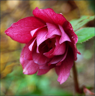 S7511.jpg