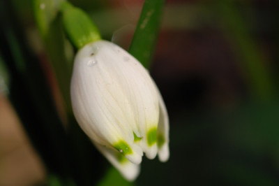 Maerzenbecher-Jan-21-k.jpg