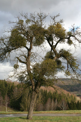 Windig-wolkig-2.jpg
