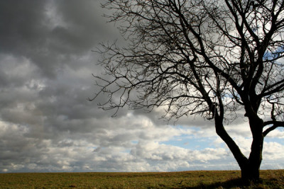 Windig-wolkig-9.jpg