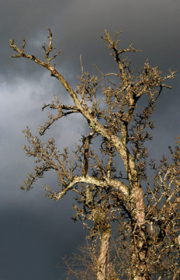 Windig-wolkig-10.jpg