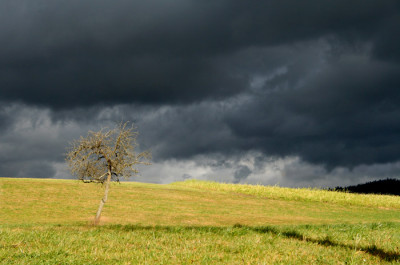 Windig-wolkig-11.jpg