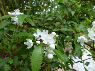 P1020125.JPG