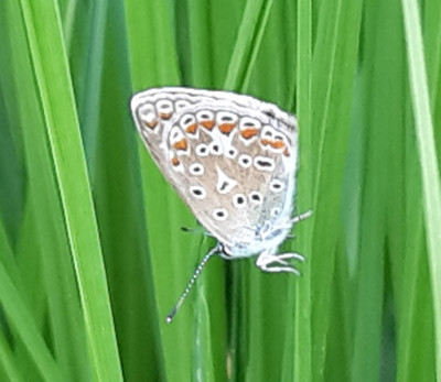 20170802_154645.jpg