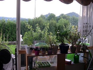 DSCN4256 Blick durchs Fenster.JPG