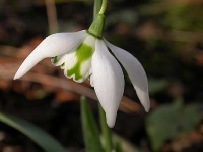 k-Cultivars-Richard-ayres-8218.jpg