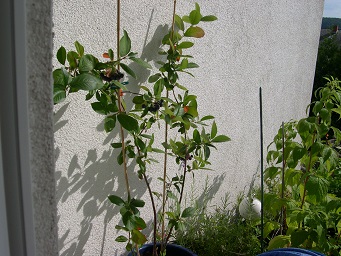 DSCN4267 Namen vergessen.JPG