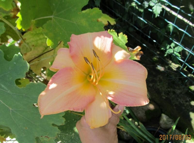 IMG_5942 small.jpg