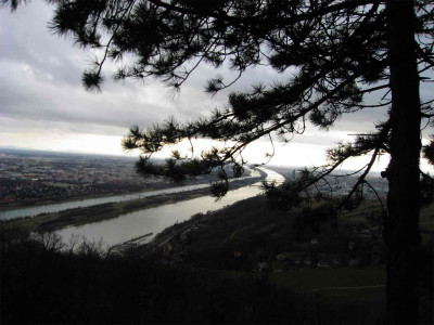 leoberg4.jpg