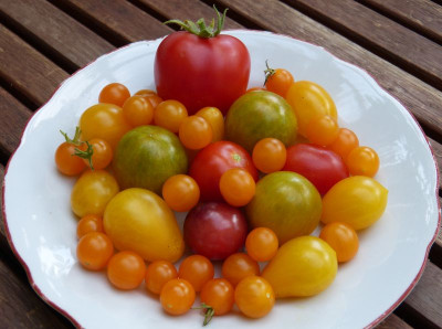 2017-08-03 Tomaten.jpg