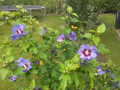 20170802_100207.jpg