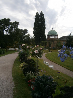 Karlsruhe Schlosspark Aug 17 014.JPG
