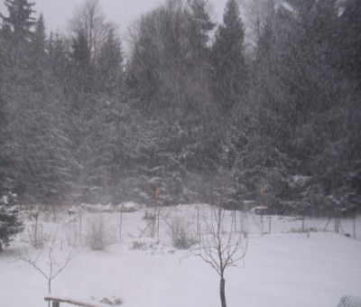 100_0093.jpg