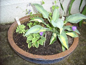 28.07.2006_009.jpg