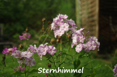 sternhimmel.jpg