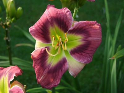 06.08.2017 18-47-23_0879.jpg