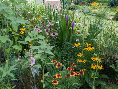 Garten_August.jpg