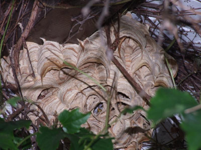 DSCF4270.JPG