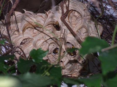 DSCF4272.JPG