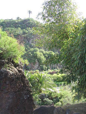 Jardin_Canario.jpg