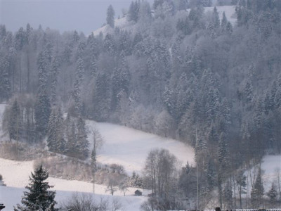 25.01.2007.JPG