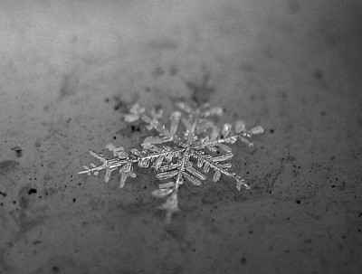 new_Schnee_07.jpg