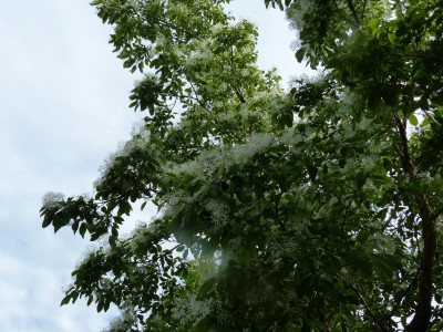 P1020086.JPG