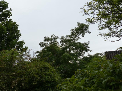P1020145.JPG