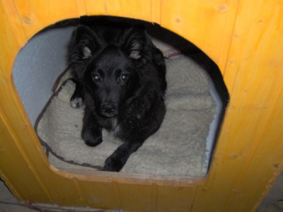 Petzi_in_seinem_Haus.jpg