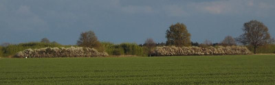 DSCI0841.JPG