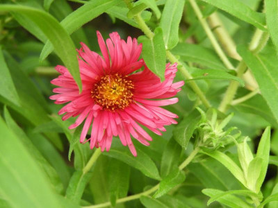 DSCN0545.JPG