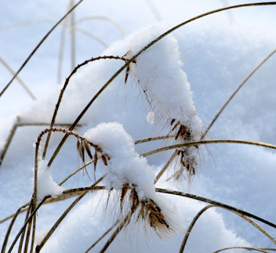Schneebild-10.jpg