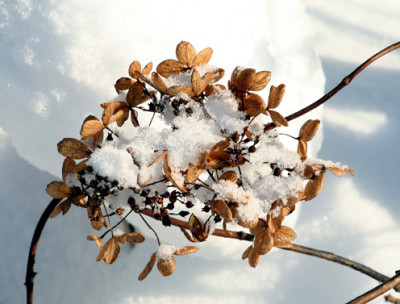 Schneebild-11.jpg