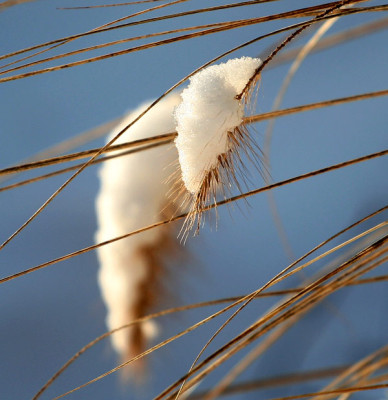 Schneebilder-2.jpg