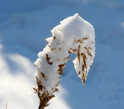 Schneebilder-8.jpg