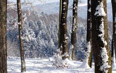 Schneebilder-10.jpg