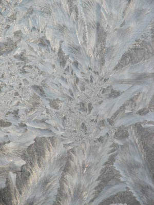 eisblumen222.jpg