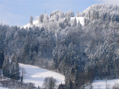 26.01.2007.JPG